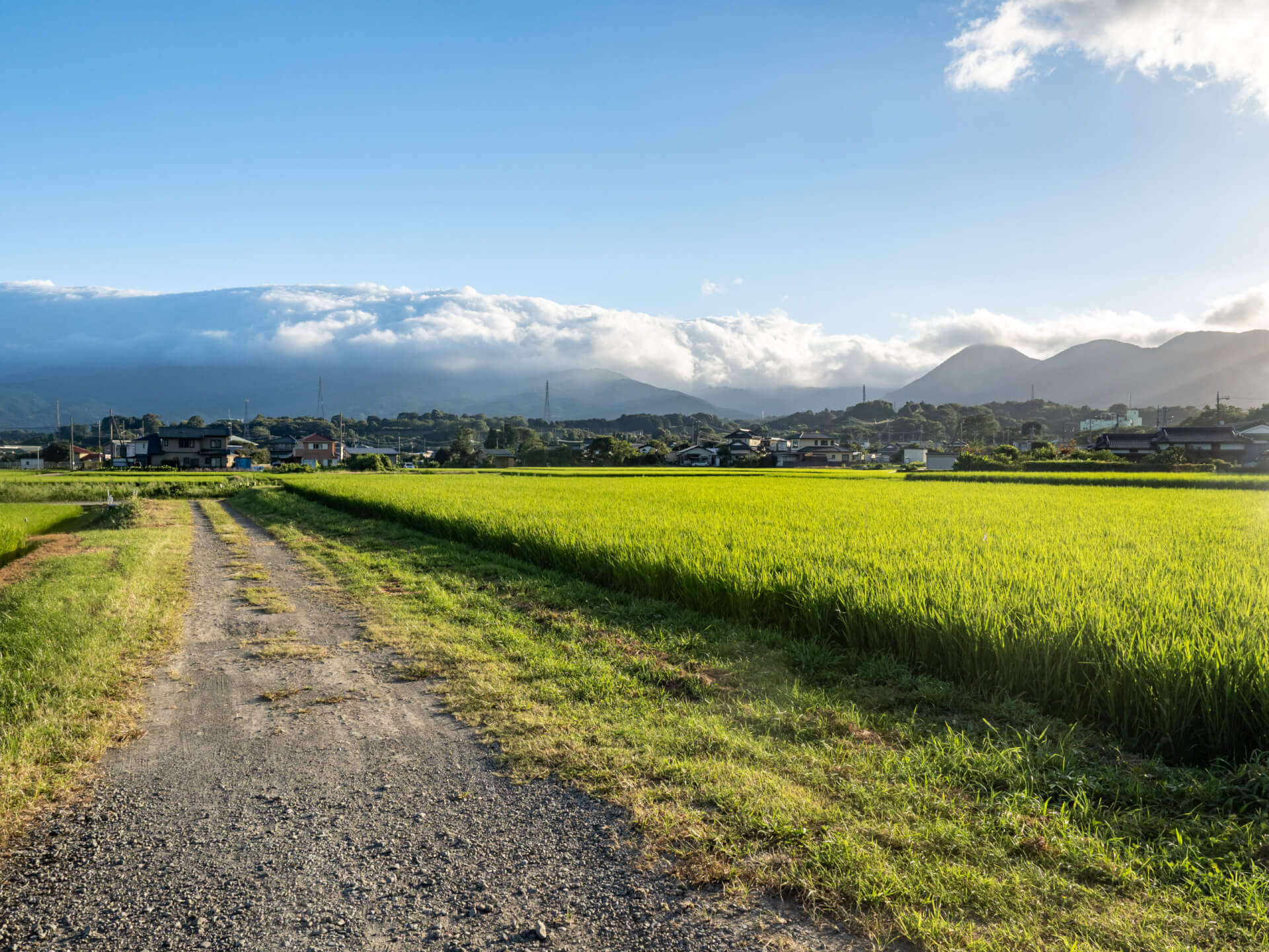 都市計畫內的農地用途、限制與申請條件？大衛買地網一篇完整解析